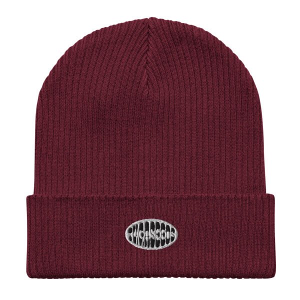 Organic ribbed beanie - Image 2
